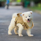Tactical Puppy Harness For Small Dogs Adjustable Cat Harnesses Vest For Military Service Dogs Training Kitten Cat Accessories
