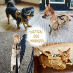 Tactical Puppy Harness For Small Dogs Adjustable Cat Harnesses Vest For Military Service Dogs Training Kitten Cat Accessories