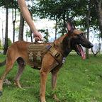 Tactical Dog Harness 6 Buckle No Pull MOLLE Vest Adjustable 3/4 Coverage
