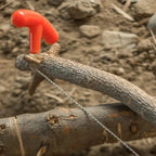 Portable Steel Wire Saw | Outdoor Survival Cutting Tool